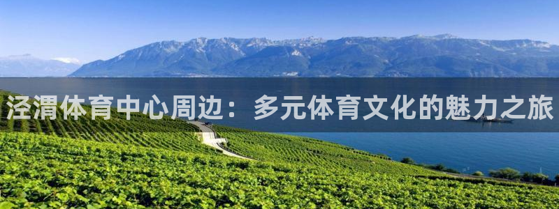 米兰体育官方正版app官方:泾渭体育中心周边:多元体育文化的