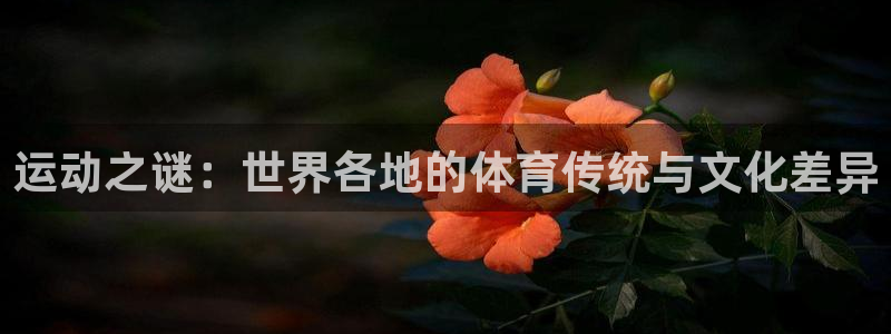 米兰体育官方正版app集团logo:运动之谜:世界各地的体育